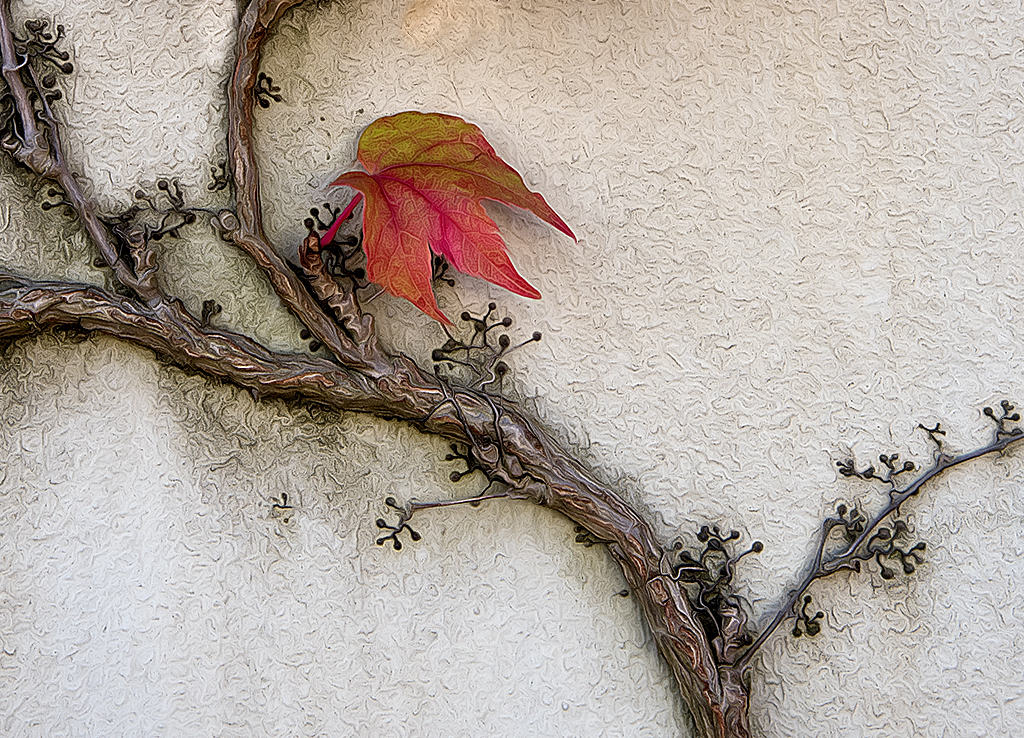 4711 KA7_3443-1 Kopie.jpg